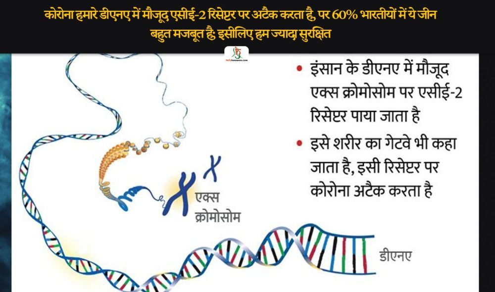 कोरोना हमारे डीएनए में मौजूद एसीई-2 रिसेप्टर पर अटैक करता है, पर 60% भारतीयों में ये जीन बहुत मजबूत है; इसीलिए हम ज्यादा सुरक्षित