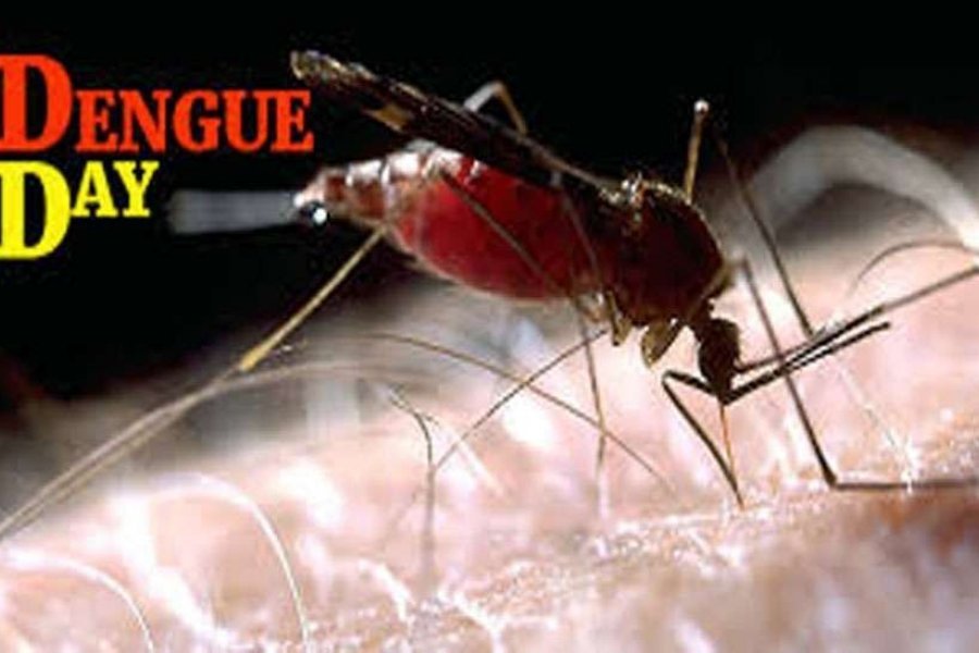 डेंगू दिवस पर आज जनजागरूकता के होंगे आयोजन 