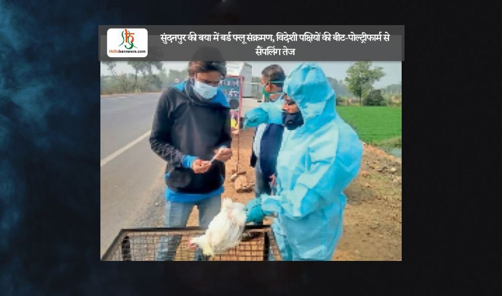 सुंदनपुर की बया में बर्ड फ्लू संक्रमण, विदेशी पक्षियों की बीट-पोल्ट्रीफार्म से सैंपलिंग तेज
