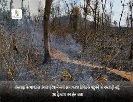 बांसवाड़ा के भागतोल जंगल एरिया में लगी आग :फायर ब्रिगेड के पहुंचने का रास्ता ही नहीं, 20 हैक्टेयर वन क्षेत्र जला