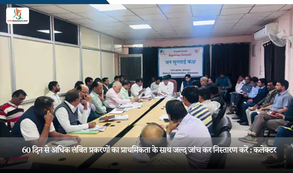 60 दिन से अधिक लंबित प्रकरणों का प्राथमिकता के साथ जल्द जांच कर निस्तारण करें : कलेक्टर