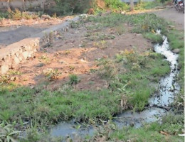 पुष्पा नगर में सड़क नहीं, न पानी की सप्लाई बढ़ रही हैं चोरियां, लोगों ने जताया आक्रोश