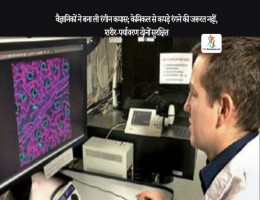 वैज्ञानिकों ने बना ली रंगीन कपास; केमिकल से कपड़े रंगने की जरूरत नहीं, शरीर-पर्यावरण दोनों सुरक्षित