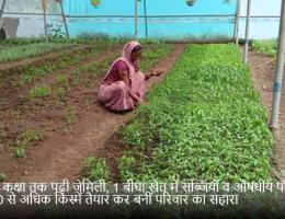 पहली कक्षा तक पढ़ी जेमिली, 1 बीघा खेत में सब्जियों व औषधीय पौधों की 50 से अधिक किस्में तैयार कर बनीं परिवार का सहारा