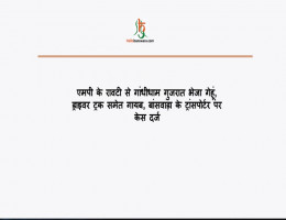 एमपी के रावटी से गांधीधाम गुजरात भेजा गेहूं, ड्राइवर ट्रक समेत गायब, बांसवाड़ा के ट्रांसपोर्टर पर केस दर्ज