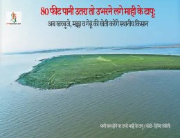 80 फीट पानी उतरा तो उभरने लगे माही के टापू: अब खरबूजे, मक्का व गेहूं की खेती करेंगे स्थानीय किसान