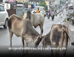 शहर के मुख्य मार्गों पर मवेशियों का कब्जा, रोज हो रहे हादसे, आवागमन हो रहा बाधित