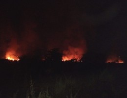 भंडारिया पहाड़ी के पास बने डंपिंग यार्ड में रविवार देरशाम आग लग गई