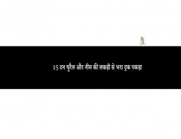 15 टन चुरैल अाैर नीम की लकड़ी से भरा ट्रक पकड़ा