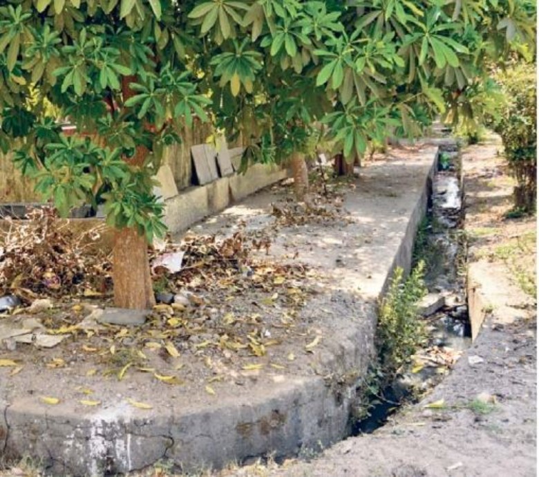हाउसिंग बोर्ड में नालियां चोक, सफाईकर्मी भी रोज नहीं आने से लोग परेशान, बोले- खुद ही करते हैं सफाई